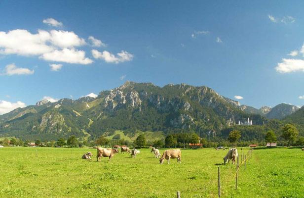 Jaegerhof Und Jaegerstadel Schwangau Dış mekan fotoğraf
